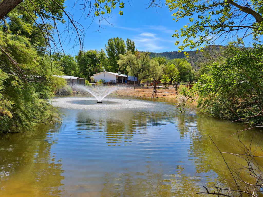 Floating fountain running in our farm pond to provide water movement and aeration.