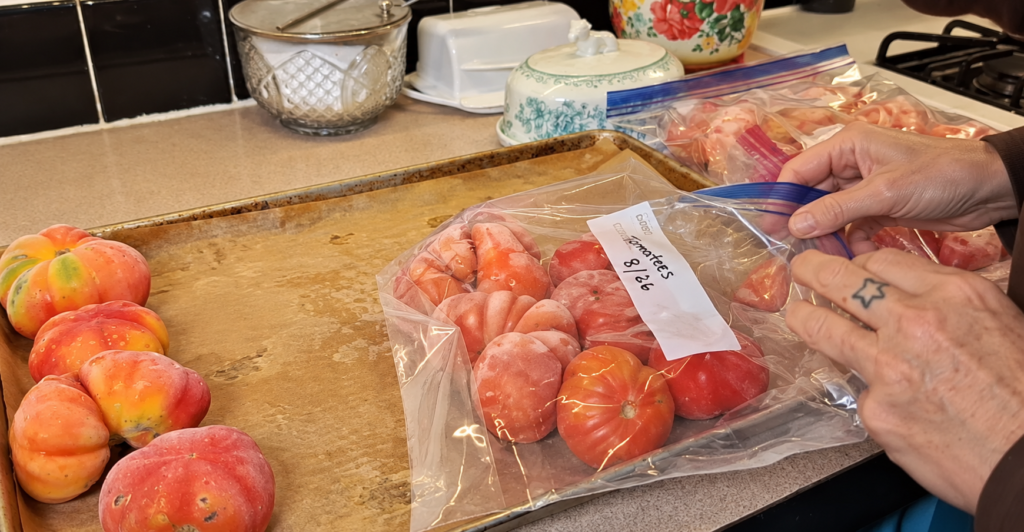 Heirloom garden tomatoes packed into a labeled freezer bag on a baking sheet, ready to be frozen for homemade marinara sauce.